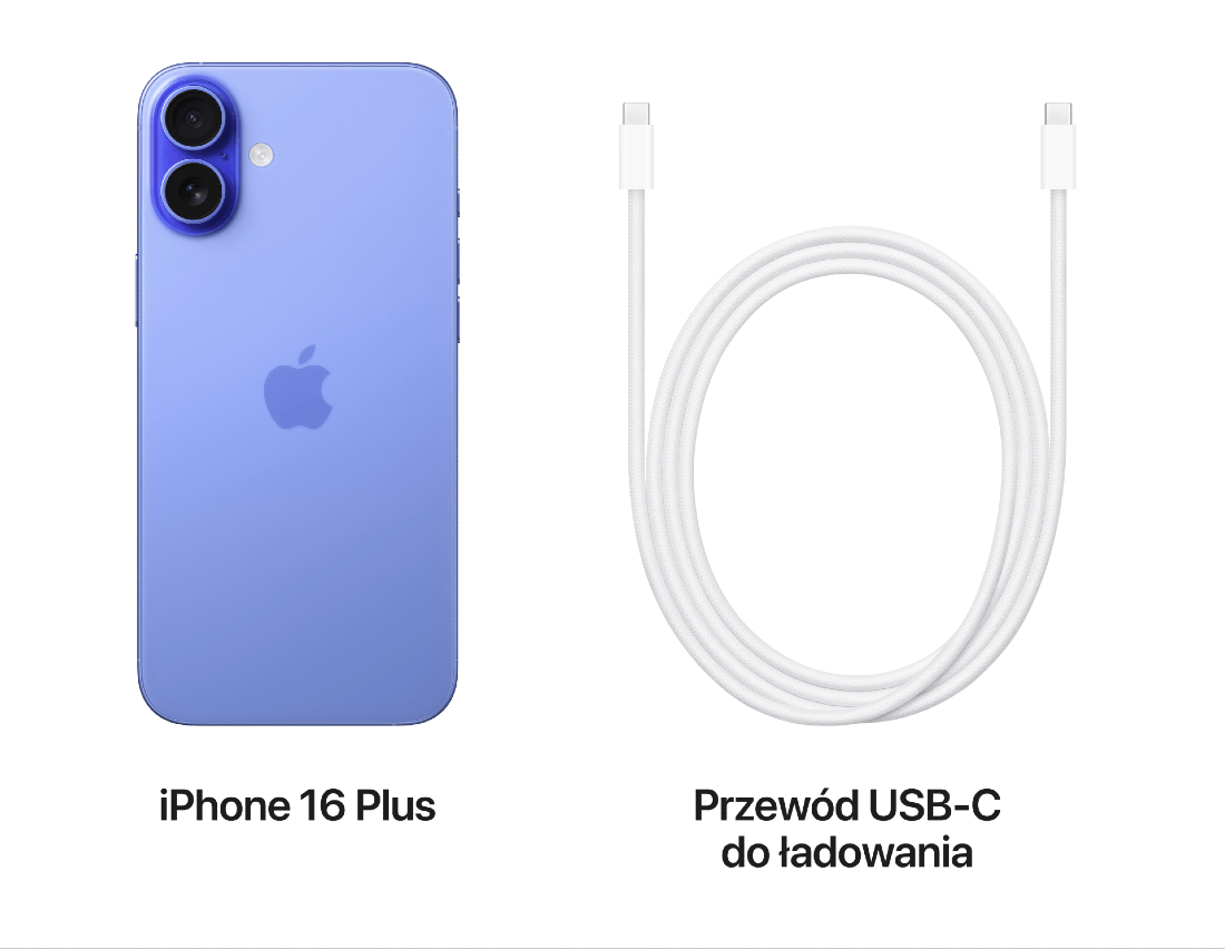 Zawartość pudeałka